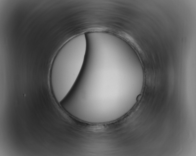 X0000089851186200706281014