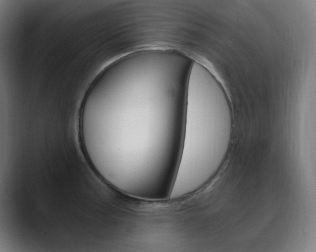X0000089851187200706281014