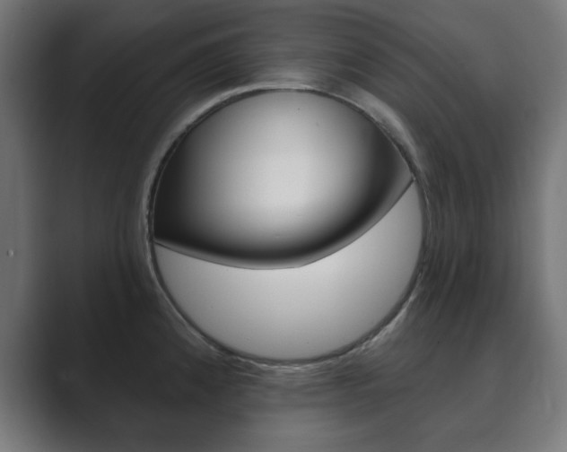 X0000089851192200706281014