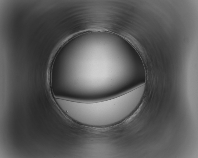 X0000089851196200706281014