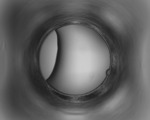 X0000089851198200706281014