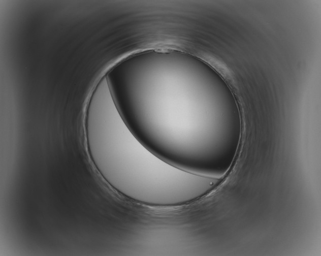 X0000089851200200706281014