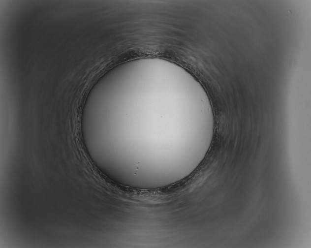 X0000089851201200706281014