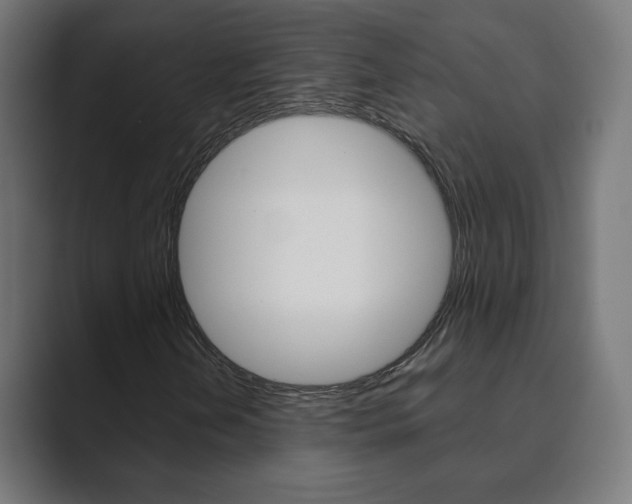 X0000089851202200706281014