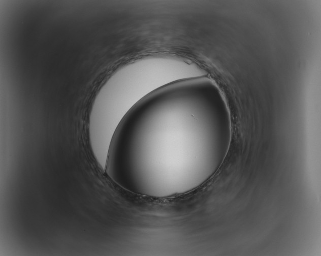 X0000089851206200706281014