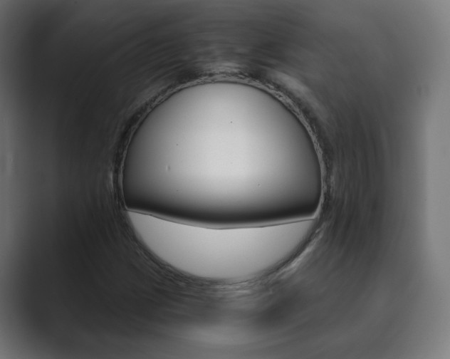 X0000089851209200706281014