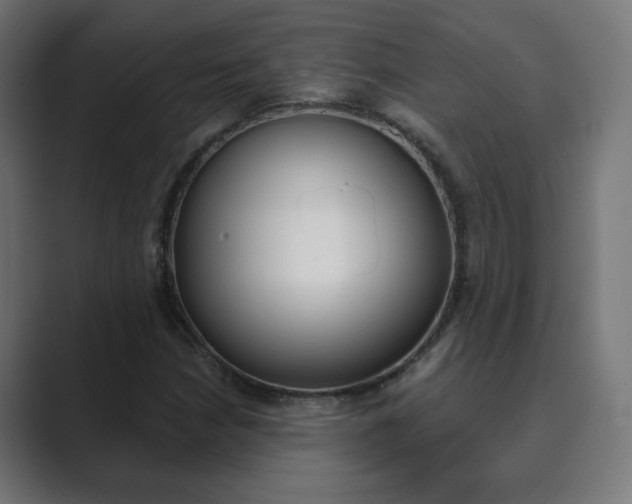 X0000089851210200706281014