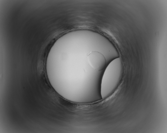 X0000089851211200706281014