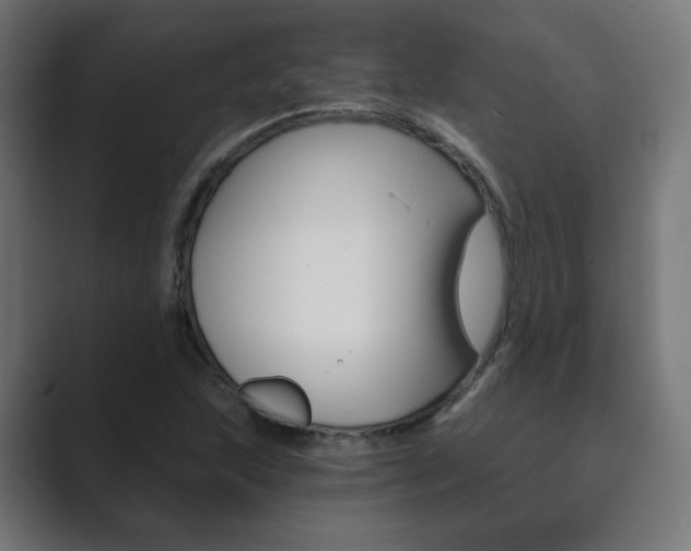 X0000089851215200706281014