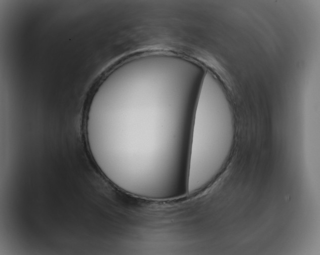 X0000089851216200706281014