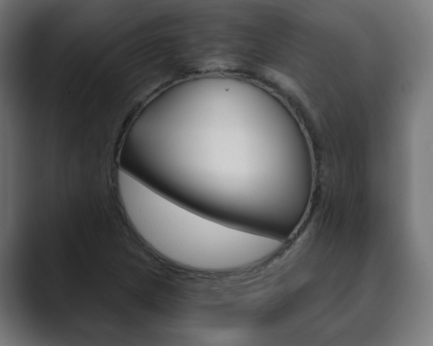 X0000089851217200706281014