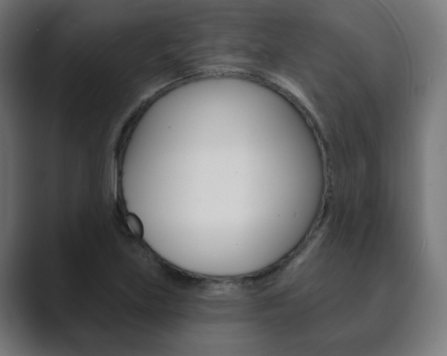 X0000089851219200706281014