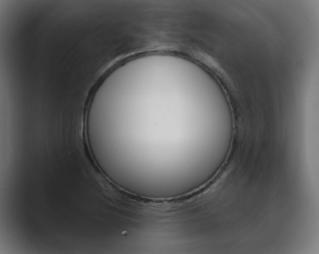 X0000089851220200706281014