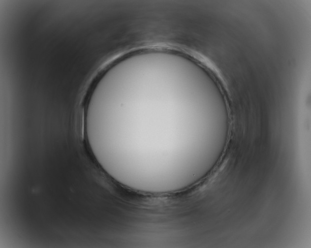 X0000089851223200706281014