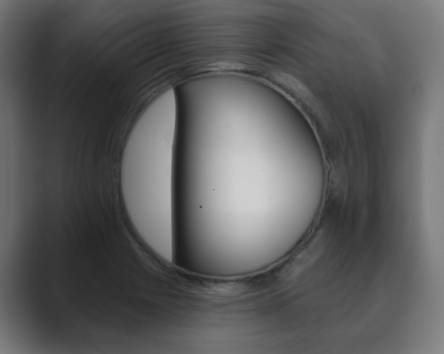 X0000089851225200706281014