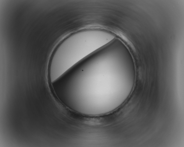 X0000089851229200706281014