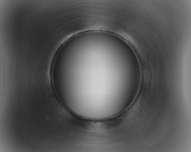 X0000089851230200706281014