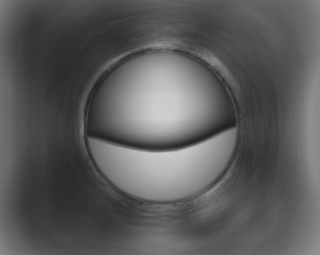 X0000089851232200706281014