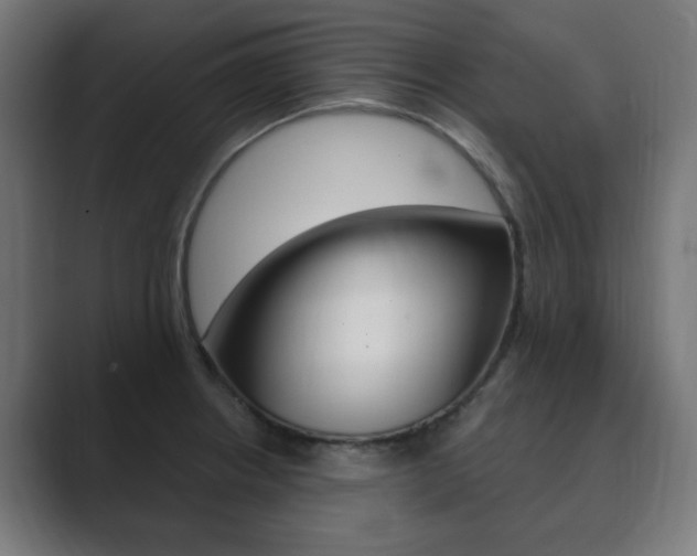 X0000089851234200706281014