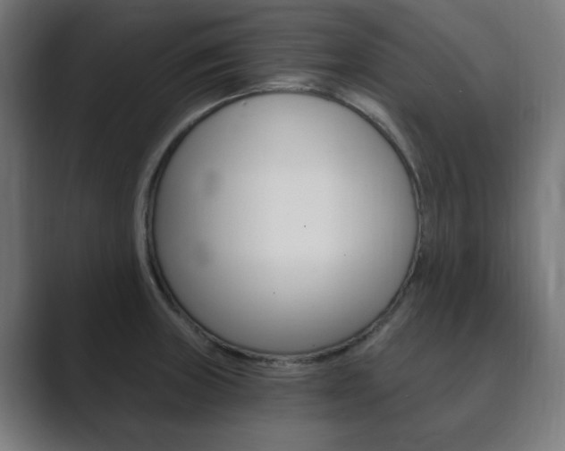X0000089851235200706281014