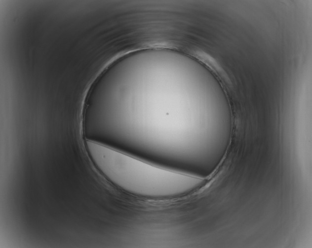 X0000089851236200706281014