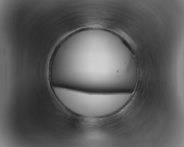 X0000089851240200706281014