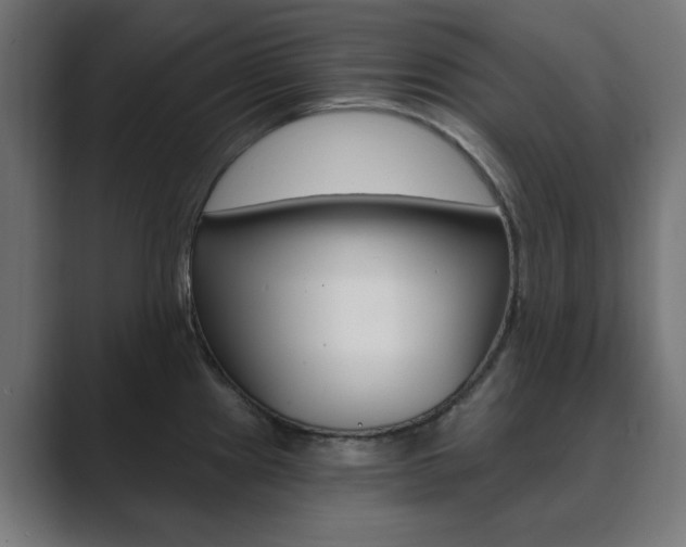 X0000089851241200706281014