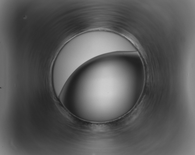 X0000089851242200706281014