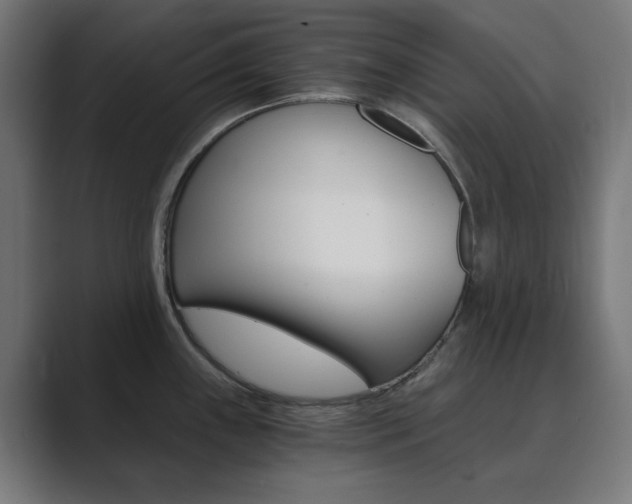 X0000089851243200706281014