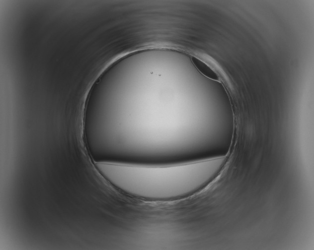 X0000089851244200706281014