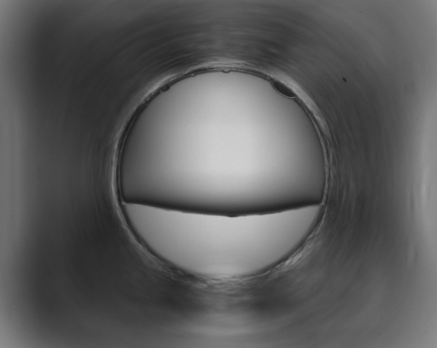X0000089851245200706281014