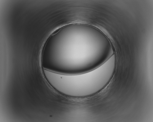 X0000089851246200706281014