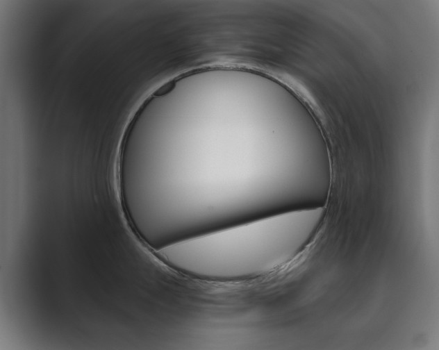 X0000089851247200706281014