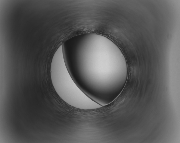 X0000089851250200706281014