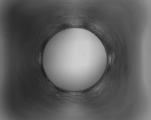 X0000089851251200706281014