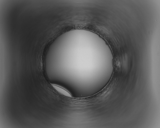 X0000089851252200706281014