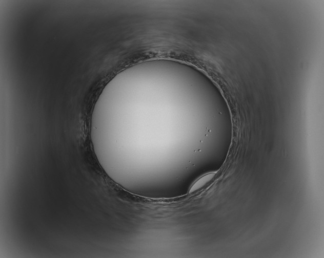 X0000089851253200706281014