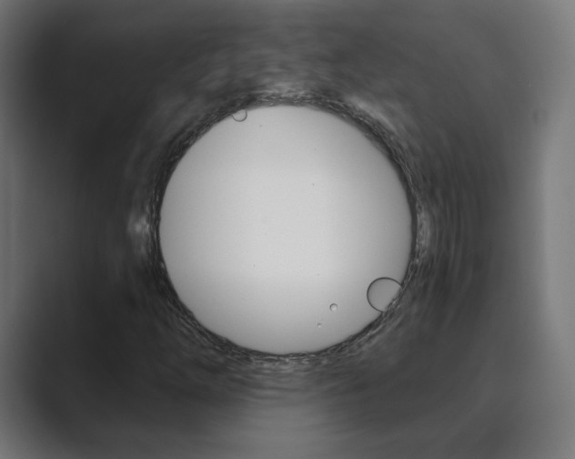X0000089851254200706281014