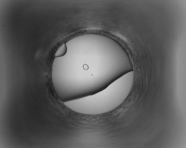 X0000089851255200706281014
