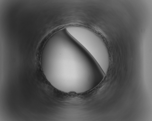 X0000089851256200706281014
