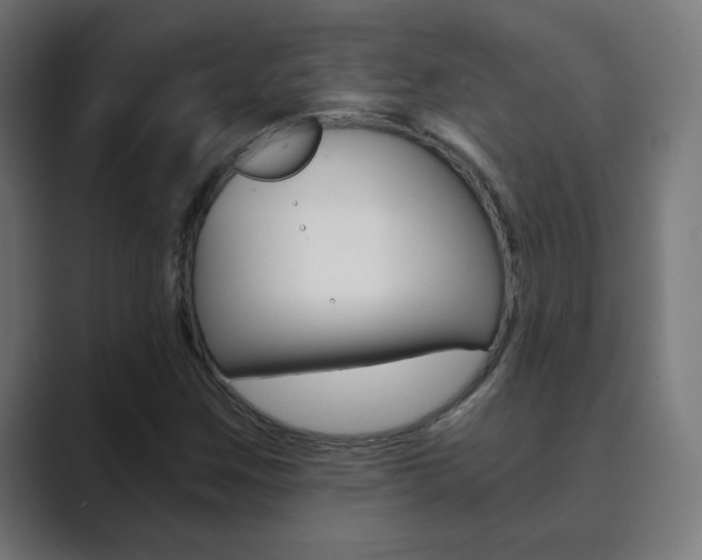 X0000089851259200706281013