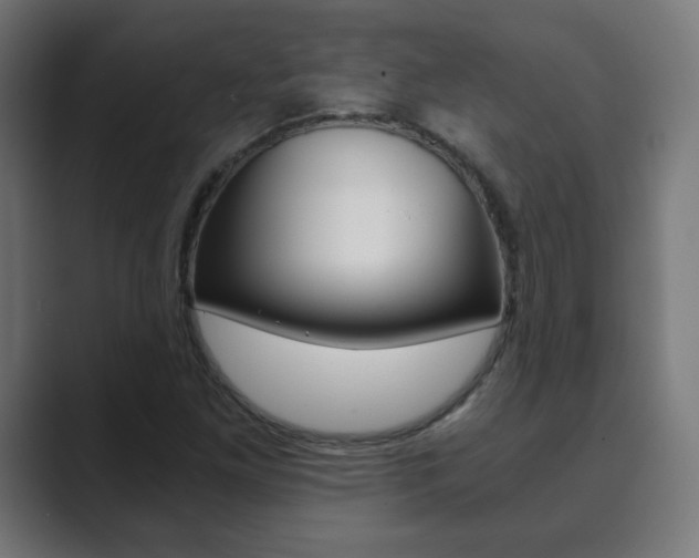 X0000089851261200706281013