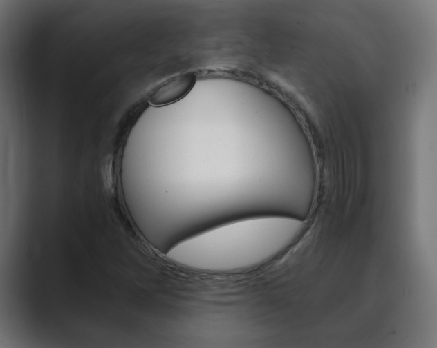 X0000089851262200706281013