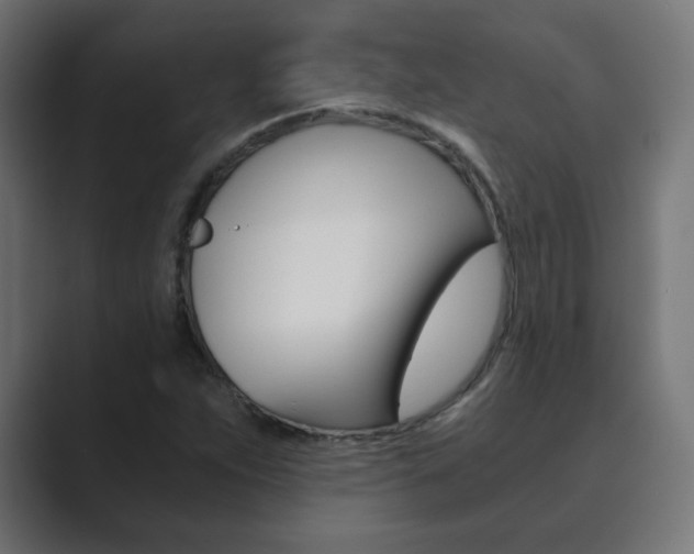 X0000089851263200706281013