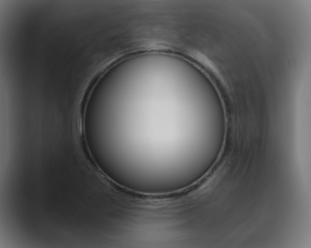 X0000089851269200706281013