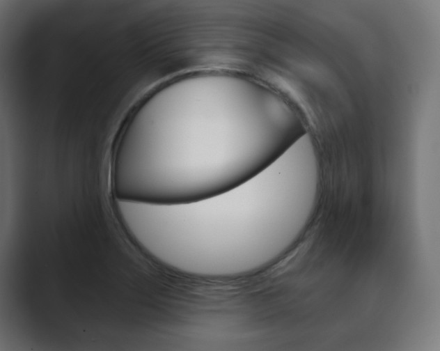 X0000089851275200706281013