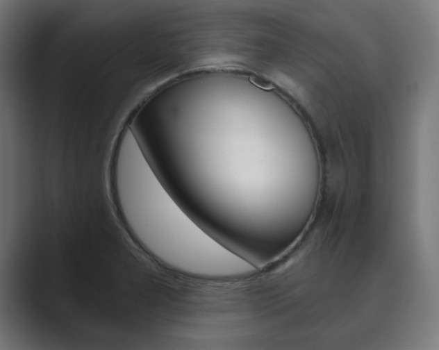 X0000089851277200706281013
