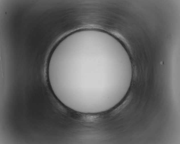 X0000089851278200706281013