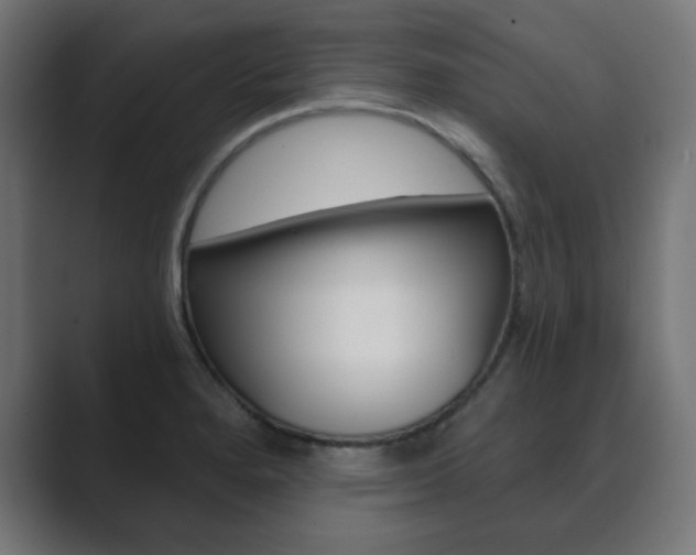 X0000089851280200706281013