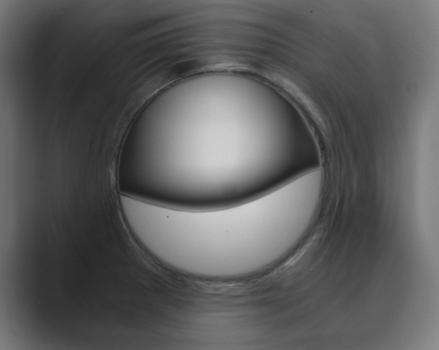 X0000089851281200706281013